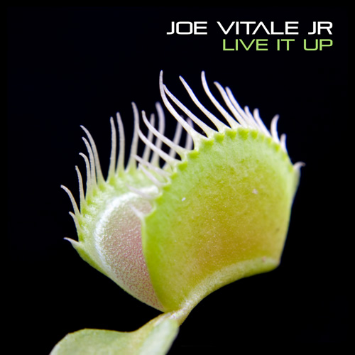Joe Vitale Jr "Live It Up" Single